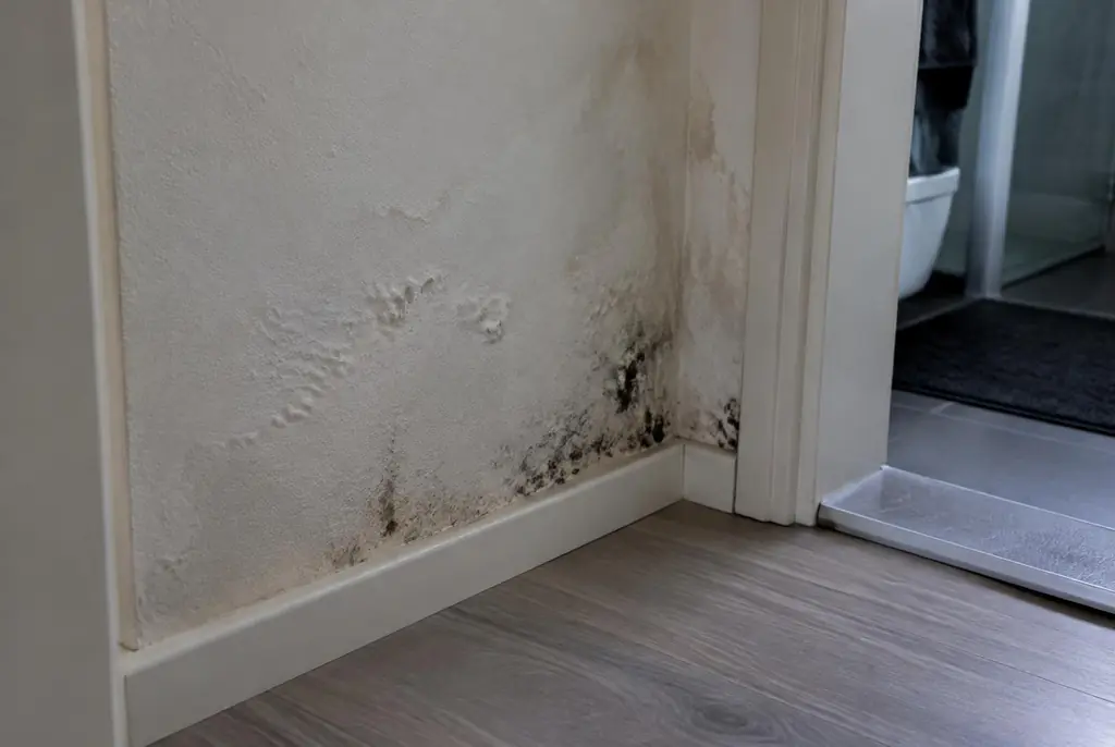 Lekdetectie Heerhugowaard – vochtplek met schimmel op een muur